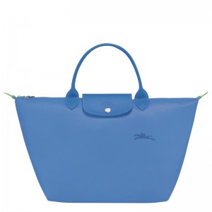 Borsa a Mano Donna Longchamp Le Pliage Green M Blu | SULTF-0721