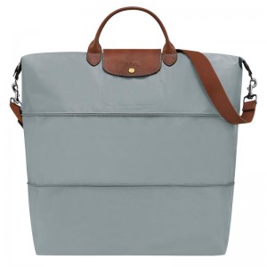 Borse Da Viaggio Donna Longchamp Le Pliage Original expandable Grigie | EKUXV-0419